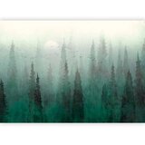  Foto tapeta - Bird\'s eye perspective - landscape of a green forest with trees in the mist 441x315 Samoljepljiva | shoptok.hr
