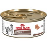 Royal Canin dog recovery feline/canine konzerva 195g Cene