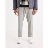 Celio muške pantalone 24H Avoclair - 1817705 | ePonuda.com