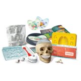  Scientific Fun Crazy Anatomy Kit Clementoni 50697 | shoptok.hr