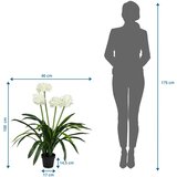 MID.YOU Umetna Rastlina Agapanthus | Shoptok.si