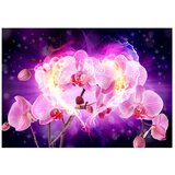 Tapeta - Orchids in flames 100x70 | shoptok.hr