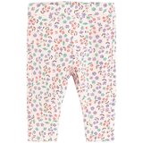 Cool club pajkice DH CCG2900467 D roza 80 | Shoptok.si
