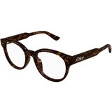 Chloe CH0343OA 002 ONE SIZE (52) Havana/Kristalna | Shoptok.si