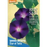 ReinSaat Slak "Star of Yelta" Cene