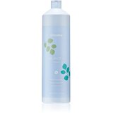 EchosLine Balance+ Shampoo šampon za zdravo vlasište 1000 ml u