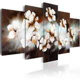  Slika - Soft as silk 100x50 | shoptok.hr