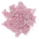  Prirodna mahovina 30 g | izaberi nijansu | shoptok.hr