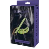DREAMTOYS Ovratnica S Povodcem Radiant Glow In The Dark Green | Shoptok.si