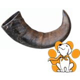 Trixie Genuine Buffalo Chewing Horn L, Poslastica Idealna Za Pse Sa Alergijama | ePonuda.com