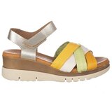 Zapp 3775 Višebojna | shoptok.hr