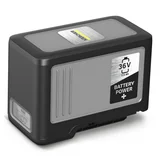 Battery Power+ 36/75 -INT 2.445-043.0, (21225699)