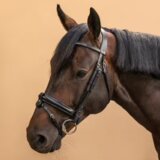 Olimp Sport Ular od štrasa 580 za jahanje Crni | ePonuda.com