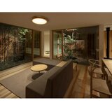 APLED - LED plafonsko svetlo RONDO LED/48W/230V prečnik 50 cm hrast | Eponuda.com