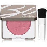 BioNike Color Pretty Touch kompaktno rdečilo odtenek 303 Bois De Rose 5 g Cene