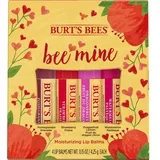 "Bee Mine" Lip Balm Set - 1 set