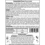 TROPICA Lirastolisti fikus - 100 zrn. | Shoptok.si