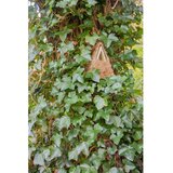 Esschert Design Drvena kućica za ptice Camouflage – | shoptok.hr
