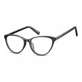 Berkeley naočare za kompjuter CP127E | ePonuda.com