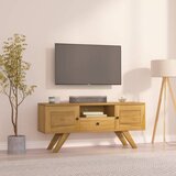 TV ormarić 110 x 30 x 50 cm od masivne tikovine | shoptok.hr