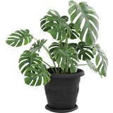  Kružni Pladanj za Cvijeće 6 pcs Crna Ø 14 x 2 cm Plastika | shoptok.hr