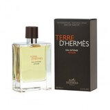 Hermes TERRE D'HERMÈS EAU INTENSE VÉTIVER EDP Sprej 100 ml | shoptok.hr