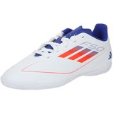 Adidas F50 CLUB IN J, dečije patike za fudbal (in), bela IF1392 | ePonuda.com
