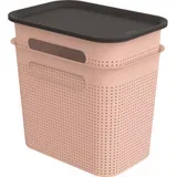 Svetlo rožnate plastične škatle za shranjevanje v kompletu 2 ks s pokrovom 18,5x27x26 cm Brisen –