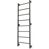 Čelične ljestve SmartGym 219 x 76 cm