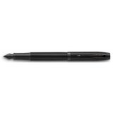 Parker IM Achromatic fountain pen Black 1 pc(s) Cijene