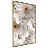  Poster - Floras Mess 30x45 Cijene