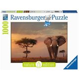 Ravensburger puzzle - Slon -1000 delova Cene