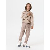 Sinsay Jogger hlače s podstavljanjem | shoptok.hr