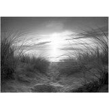  Tapeta - beach (black and white) 150x105 | shoptok.hr