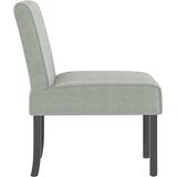  Niska stolica svjetlosiva baršunasta | shoptok.hr