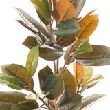Ixia Umetni fikus (višina 90 cm) Ficus – | Shoptok.si