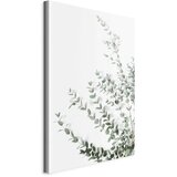  Slika - Eucalyptus Parvifolia (1 Part) Vertical 80x120 | shoptok.hr