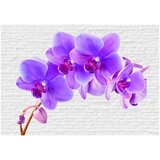  Tapeta - Violet excitation 200x140 | shoptok.hr