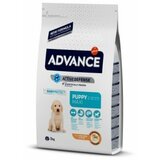 Advance dog puppy medium pro 3 kg Cene