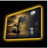Wallity 4570KTLGDACT - 016 multicolor decorative led lighted canvas painting | ePonuda.com