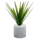 Umjetna biljka u tegli Aloe Vera