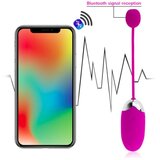 Pretty Love Vibracijski jajček Abner | Shoptok.si