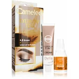 Delia Cosmetics Cameleo profesionalna kremasta boja za obrve bez amonijaka nijansa 4.0 Brown 15 ml