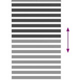 vidaXL idaXL Zebra senčilo črna 140x200 cm tkanina širina 135,9 cm poliester | Shoptok.si