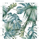  ZIDNE PLOČICE COMP. TROPICANA 25X60 IDEA CERAMICA | shoptok.hr