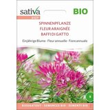 Sativa Bio enoletna cvetlica "Pajek rastlina" Cene