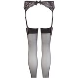 Cottelli Collection Nogavice Lace | Shoptok.si