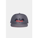 Difuzed kapa &scaron;ilt SB842320BTM Batman siva F UNI cene