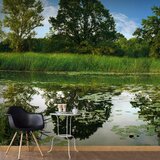  Tapeta XXL - The Magic Pond II 500x280 Cijene