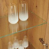Mömax Viseča Vitrina Power, Barva Hrasta | Shoptok.si